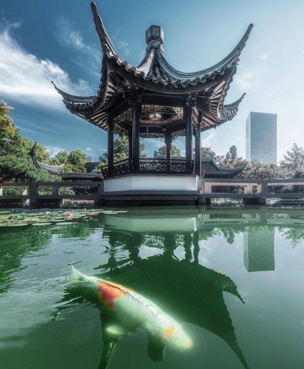 Lan Su Chinese Gardens (instagram.com/you_go_come_here)