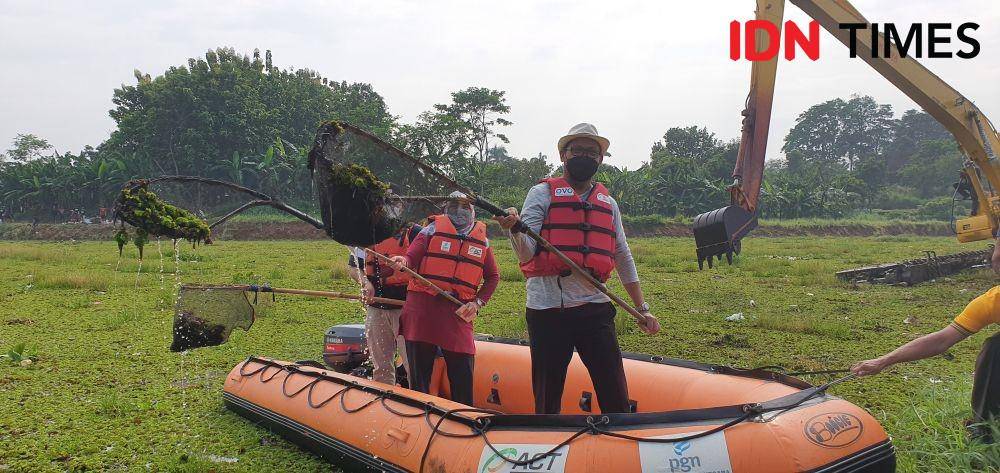 Wakil Wali Kota Depok, Imam Budi Hatono bersama DLHK dan aparatur kelurahan membersihkan gulma di Situ Tujuh Muara, Kecamatan Bojongsari, Kota Depok. (IDNTimes/Dicky)