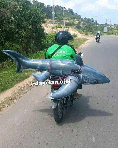 drive ojek online bawa mainan (instagram.com/dagelan.ojol)