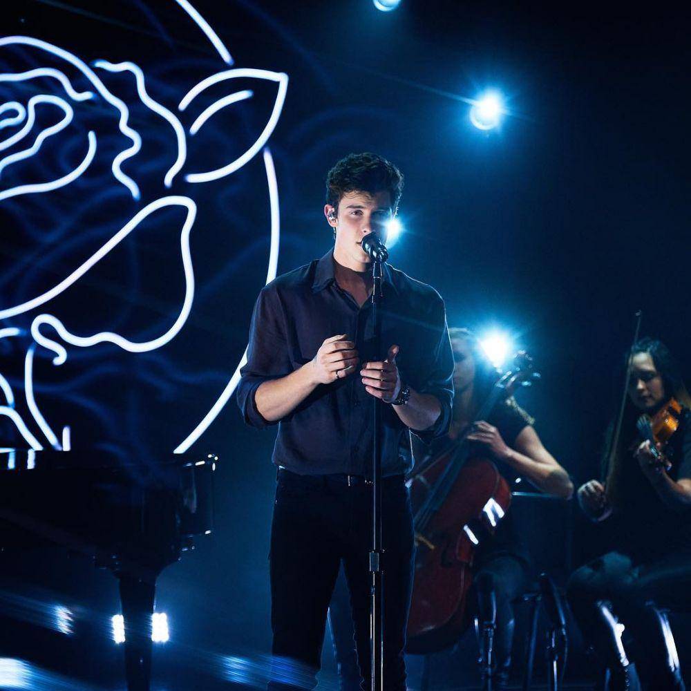 Shawn Mendes (instagram.com/shawnmendes)