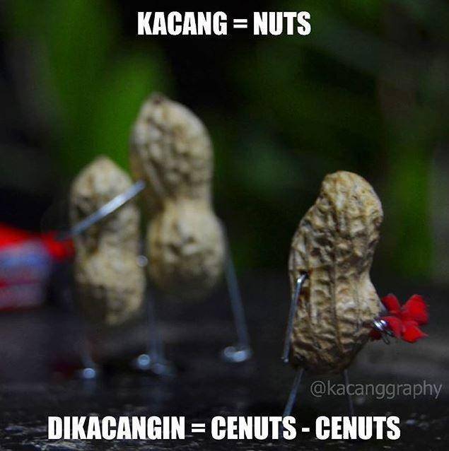 meme pelesetan bahasa Inggris (instagram.com/kacanggraphy)
