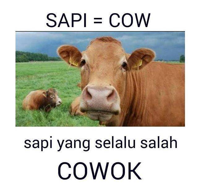 meme pelesetan bahasa Inggris (instagram.com/memecomic.id)