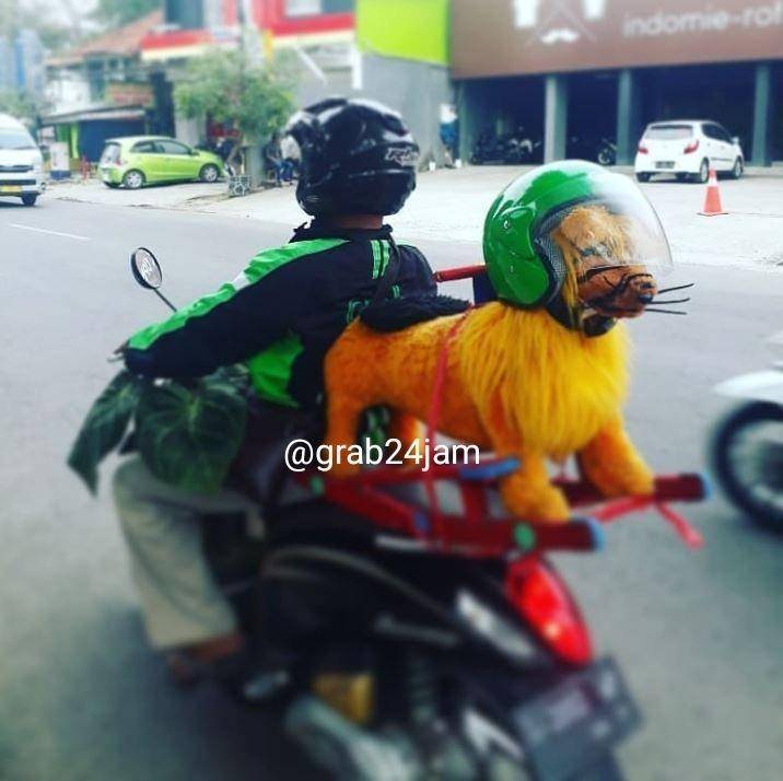 drive ojek online bawa mainan (instagram.com/grab24jam)