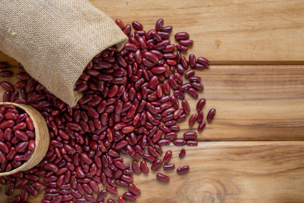ilustrasi kacang merah (freepik.com/jcomp)