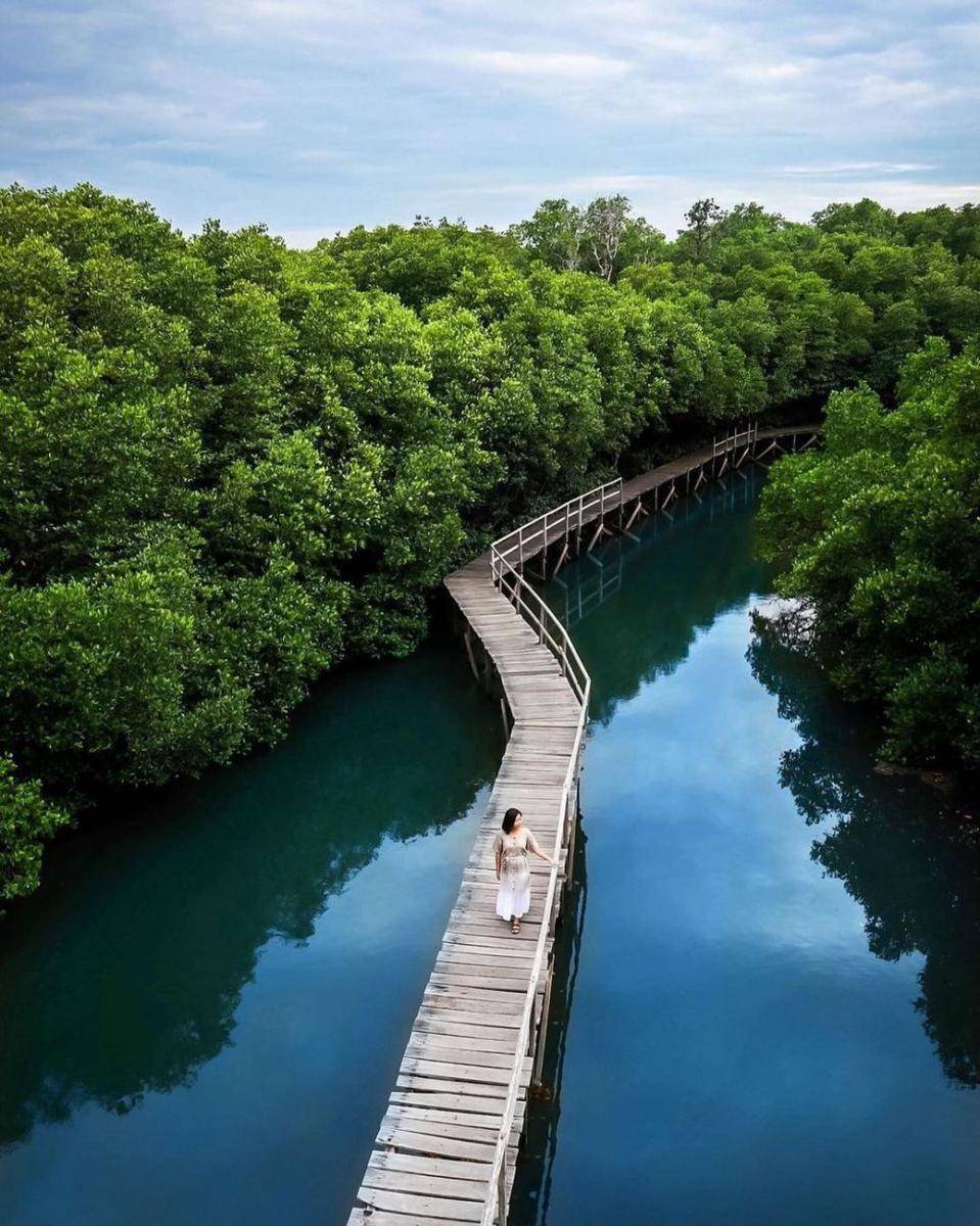 Hutan Mangrove Denpasar (instagram.com/tongos.melali)