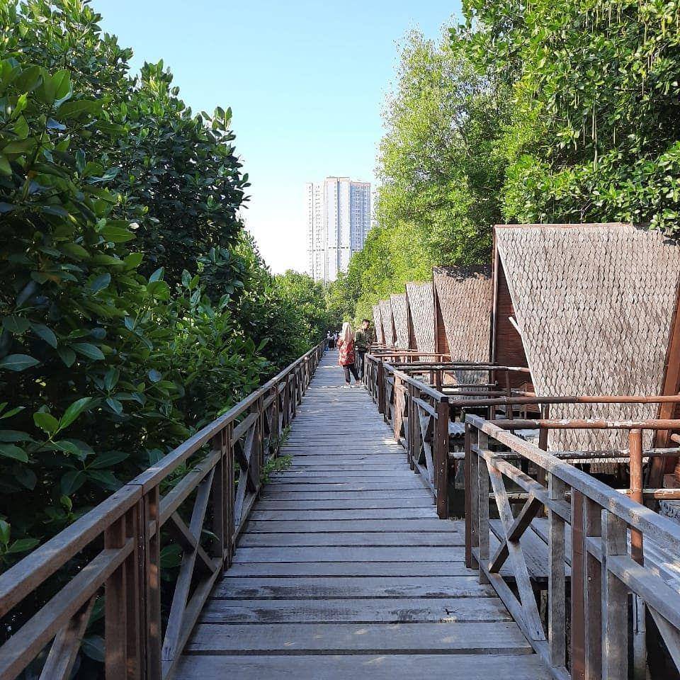 Taman Wisata Alam Angke (instagram.com/susi.wr)