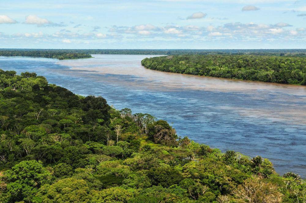 potret Sungai Amazon (cifor.org)