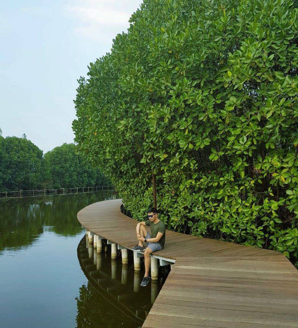 Hutan Mangrove Grand Maerokoco (instagram.com/dna_rega)