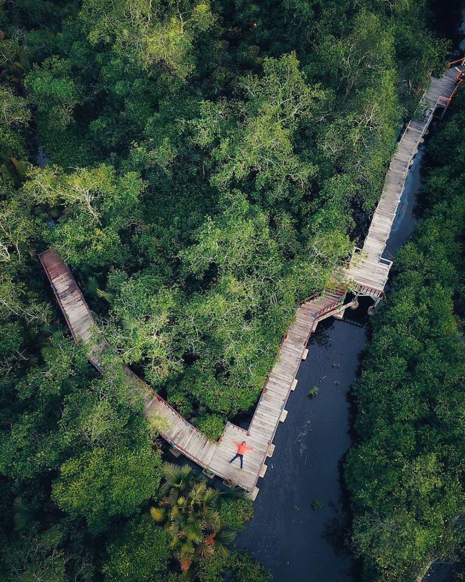 Taman Wisata Hutan Mangrove Pariaman (instagram.com/ayodolan)