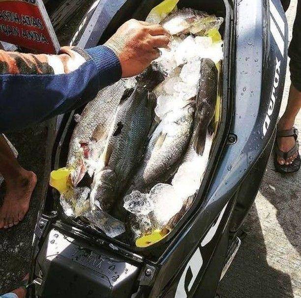 isi jok motor tak terduga (instagram.com/newdramaojol.id)