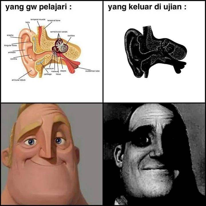 meme ekspektasi vs. realita (instagram.com/xmeme.id)