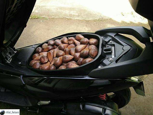 isi jok motor tak terduga (instagram.com/rifal_felani)
