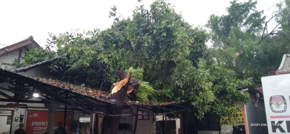 Pohon mangga tumbang mengenai atap kantor KPU Kota Depok di Jalan Raya Kartini, Kecamatan Pancoran Mas, Kota Depok. (Istimewa)