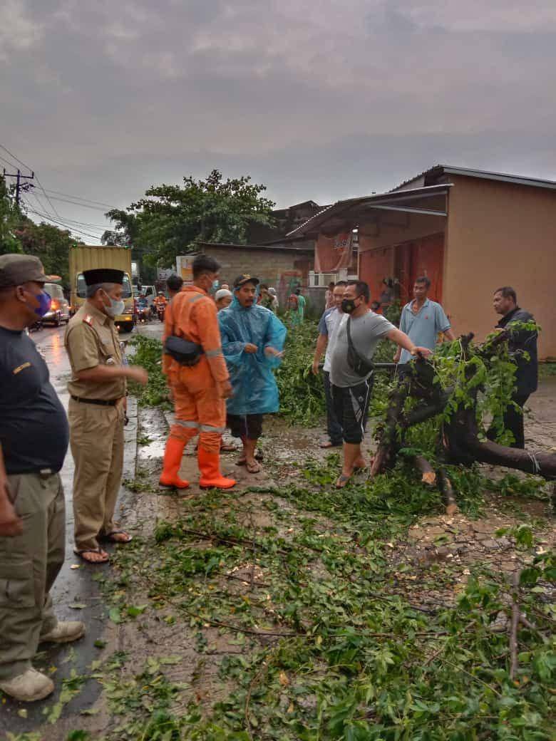 Salah satu lokasi pohon tumbang di Kota Depok akibat terpaan angin puting beliung. (Istimewa)