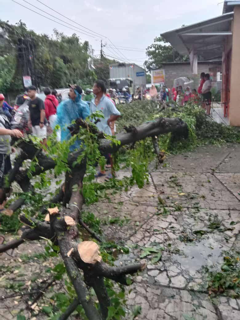Sejumlah warga memindahkan pohon tumbang akibat yang sempat menutup salah satu jalan di Kota Depok. (Istimewa)