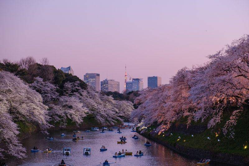 Tokyo, Jepang (unsplash.com/yukato)