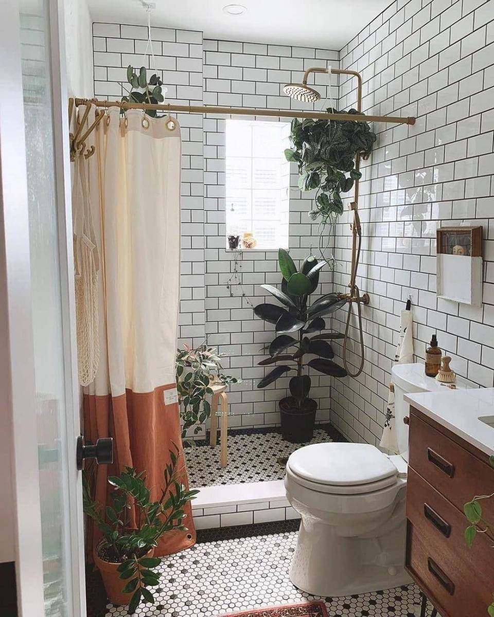 Tanaman Indoor untuk Rumah Urban Jungle (instagram.com/urbanjungleblog)