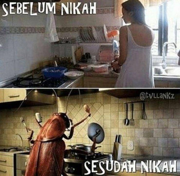 meme sebelum vs sesudah menikah (instagram.com/tvllankz)