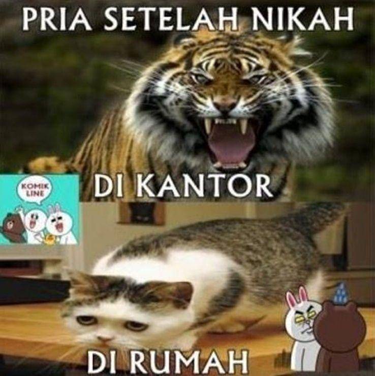 meme sebelum vs sesudah menikah (instagram.com/komik_line)