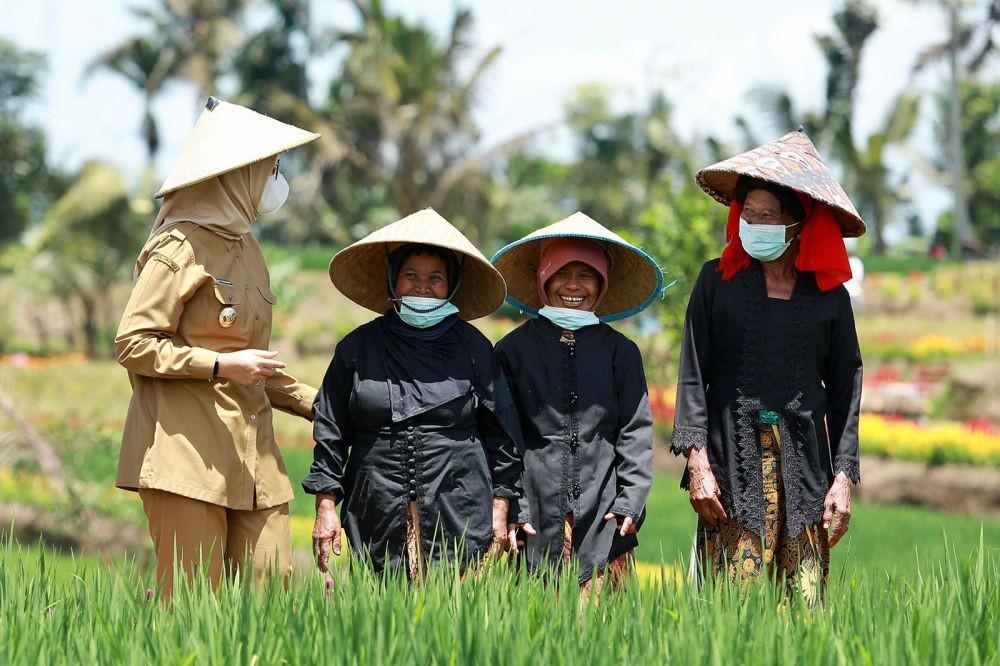 Banyuwangi menggelar Festival Padi di Desa Banjar, Kecamatan Licin, Kabupaten Banyuwangi, Senin (20/2021). (Dok. Banyuwangi)