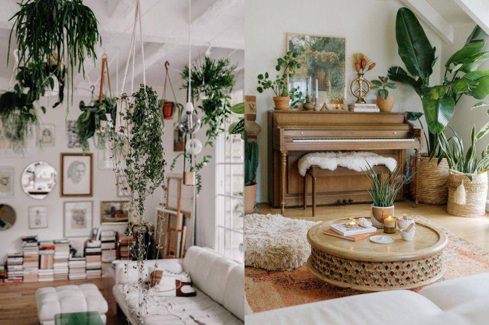 Tanaman Indoor untuk Rumah Urban Jungle (Berbagai Sumber)