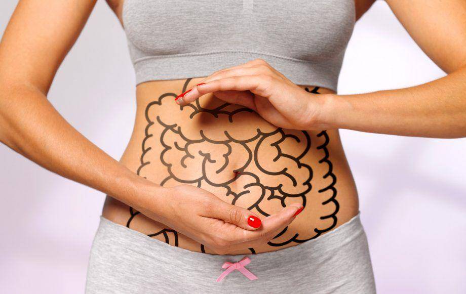 ilustrasi sistem pencernaan (Getty Images/Peter Dazeley)