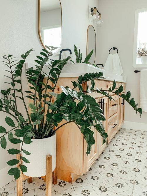 Dekorasi Tanaman Hias yang Bertahan dalam Ruangan AC (thatplantylife.com)