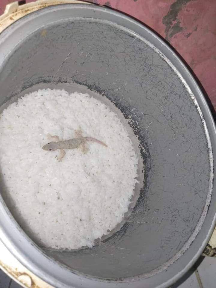 Ide Makanan Ala Orang Indonesia (twitter.com/bazengang)