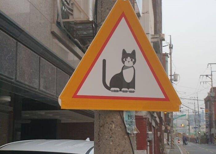 Tanda lalu lintas kucing (boredpanda.com)