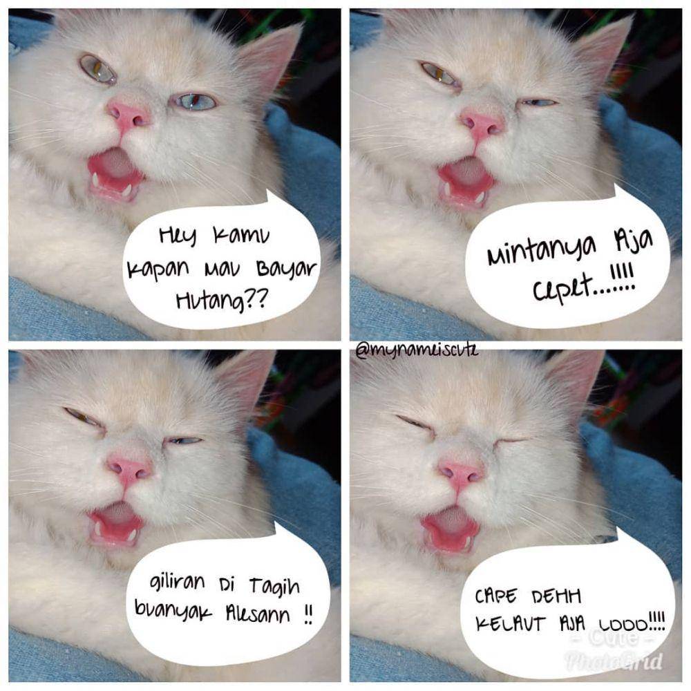 meme utang (instagram.com/zheefauzia)