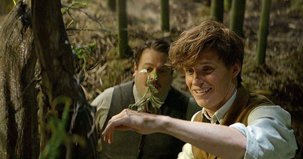 cuplikan Fantastic Beasts and Where to Find Them (dok. Warner Bros.)