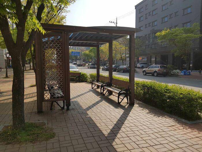 Ansan, Korea Selatan (boredpanda.com)