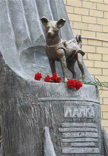 Monumen yang dibuat untuk mengenang Laika (dok. Universe Today)