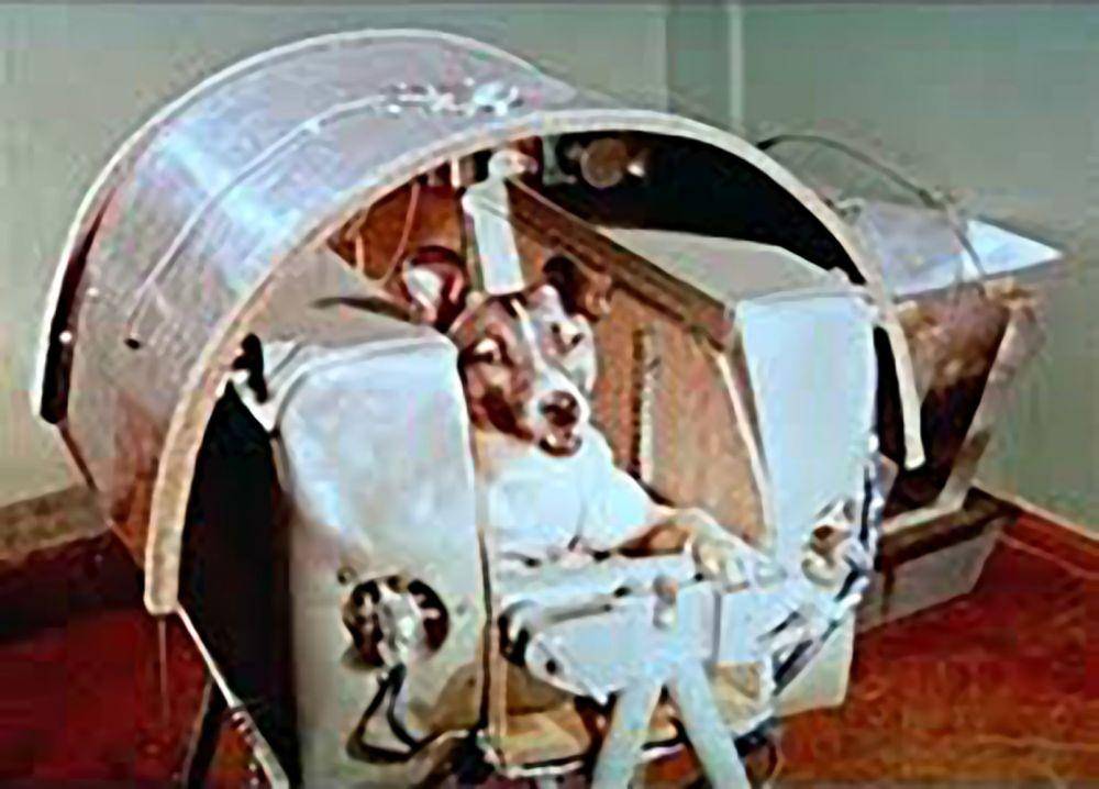 Laika tidak berhasil kembali ke Bumi dengan selamat. (dok. NASA)