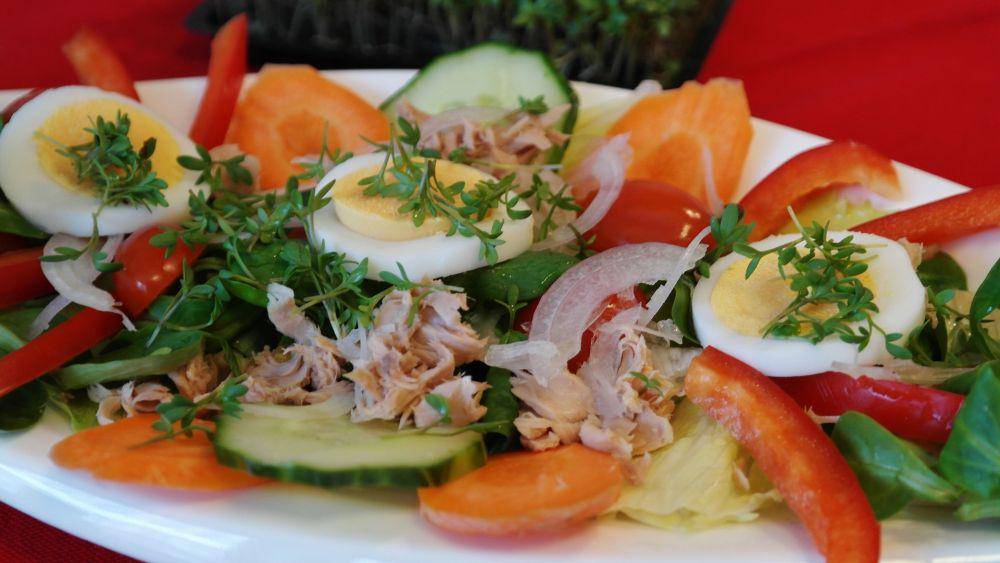 ilustrasi salad tuna (Pixabay.com/RitaE)