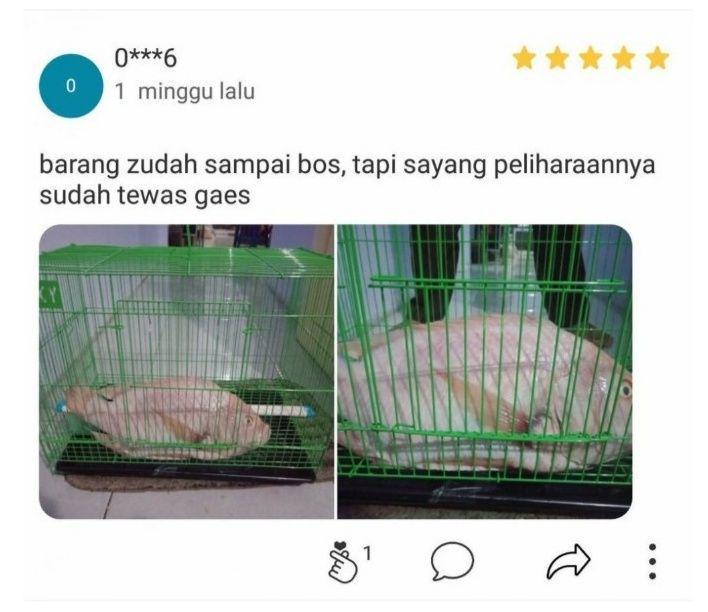 10 Review Produk Kocak dan Gak Nyambung Ini Bikin Penjual Auto Bingung