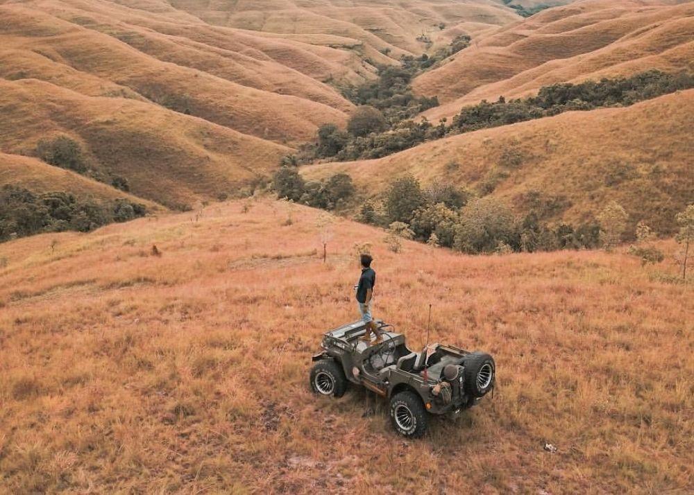 10 Bukit Paling Indah di Sumba Nusa Tenggara Timur bak New Zealand