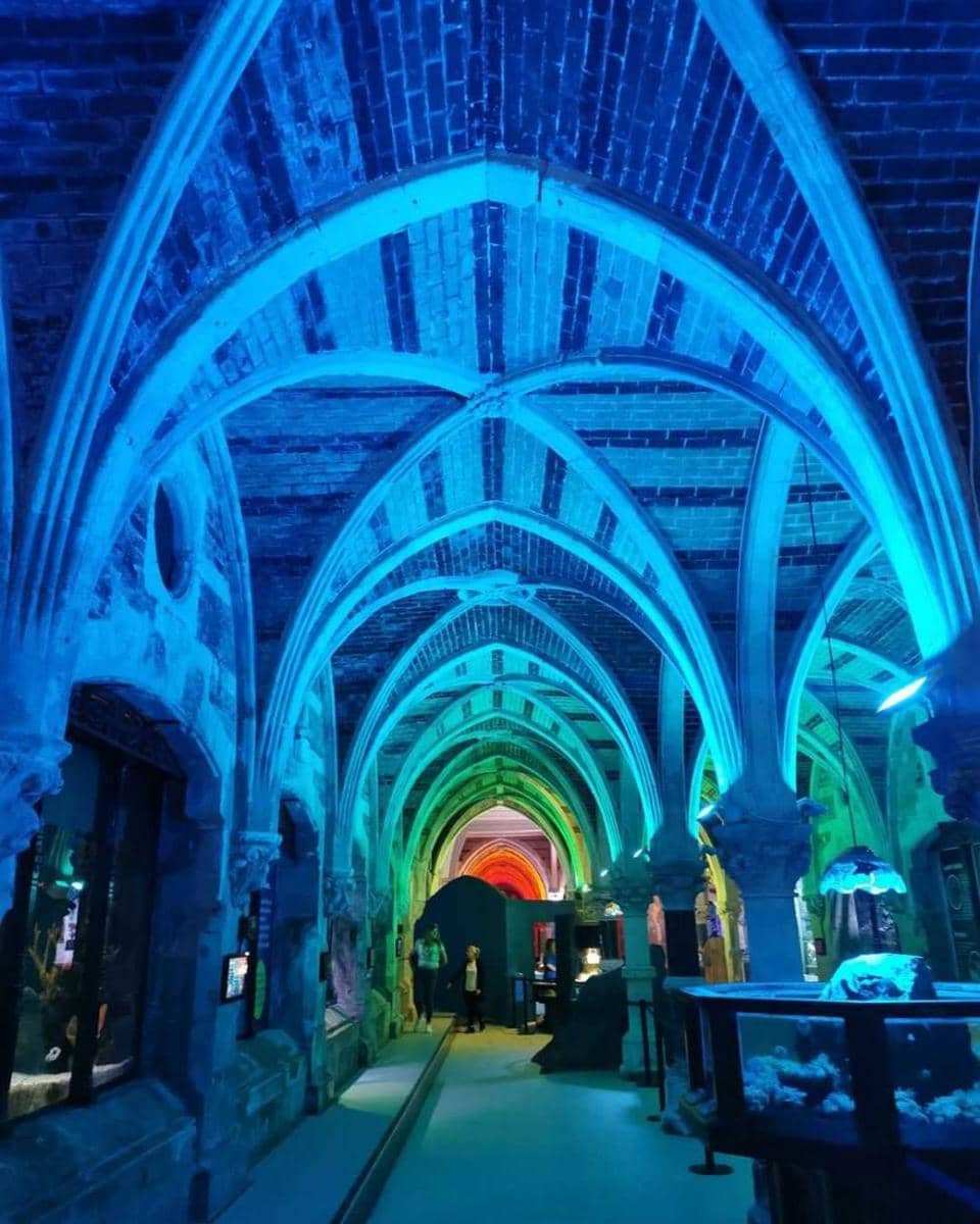 Sea Life Brighton (instagram.com/mylocalphotos)