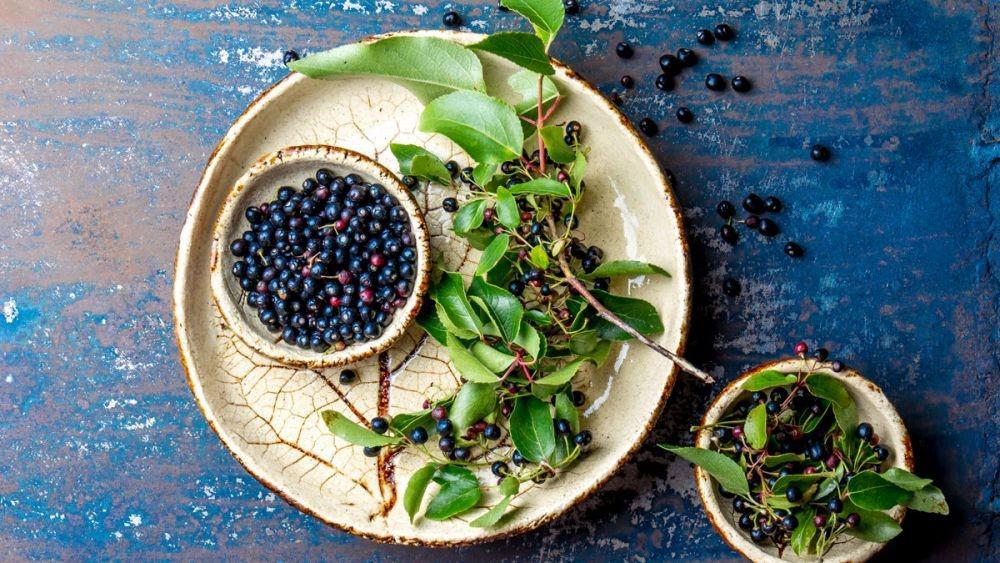 8 Manfaat Maqui Berry untuk Kesehatan, Digolongkan Superfood!