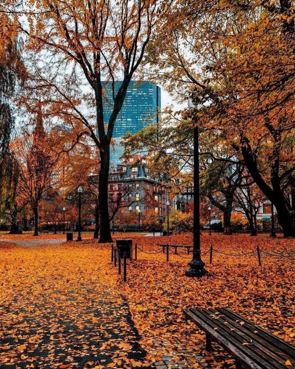 potret musim gugur di Kota Boston (instagram.com/pocketboston)