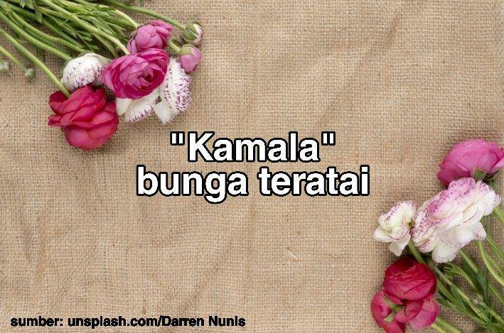 nama anak perempuan sansekerta berawalan 'K' (Dok. Pribadi/T y a s)