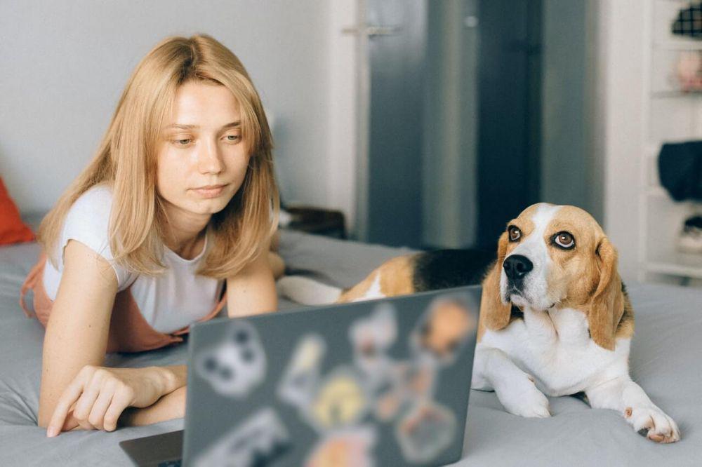 ilustrasi di depan laptop (pexels.com/Nataliya Vaitkevich)