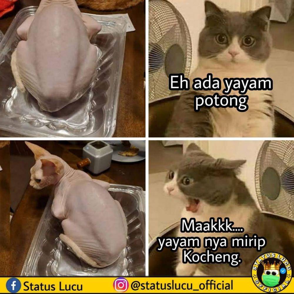 meme difoto dari depan vs belakang (instagram.com/statuslucu_official)