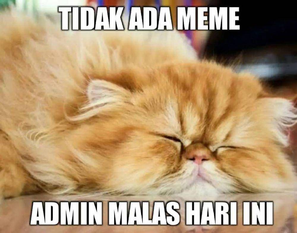 meme curhat (instagram.com/meme.bapak)