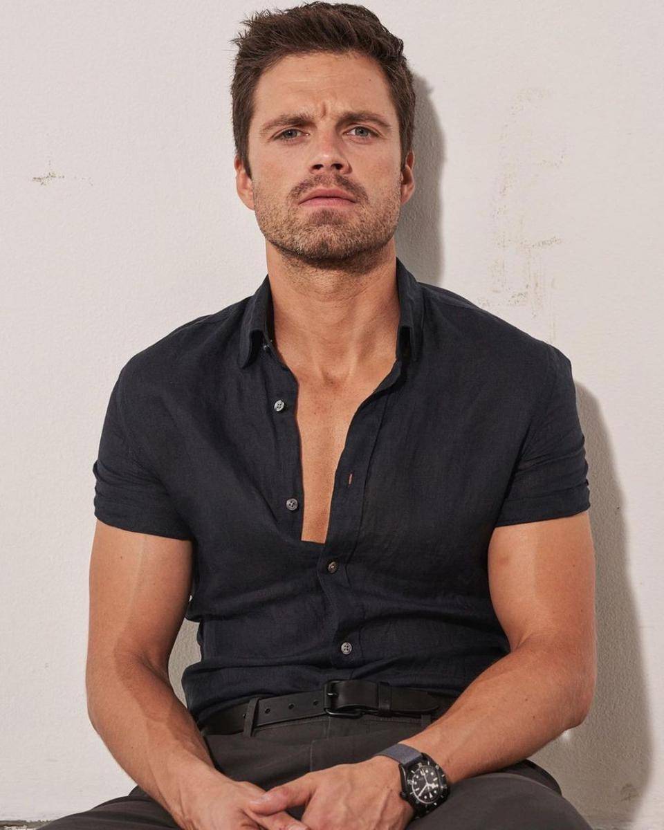 Sebastian Stan (instagram.com/imsebastianstan)