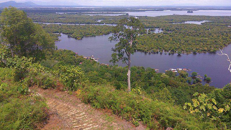 Danau Sentarum (commons.wikimedia.org)