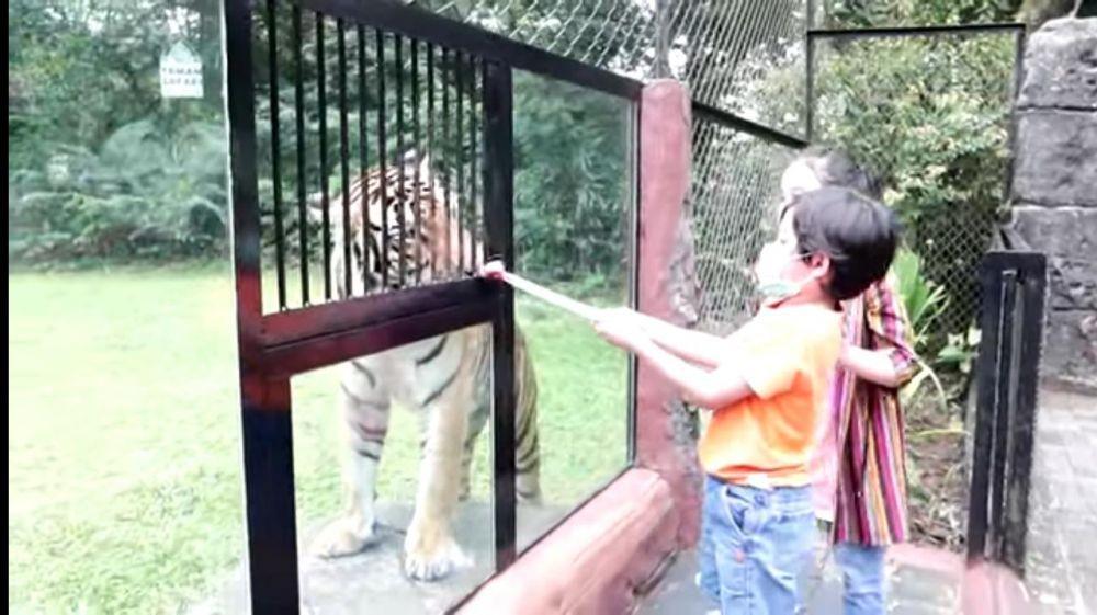 kedua anak Arumi Bachsin saat berlibur bareng anaknya di Taman Safari Indonesia, Prigen, Pasuruan. Tangkapan layar YouTube Arumi Bachsin