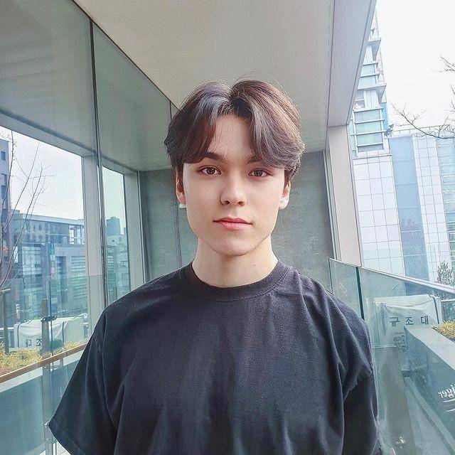 Vernon SEVENTEEN (instagram.com/chwehanvernon)
