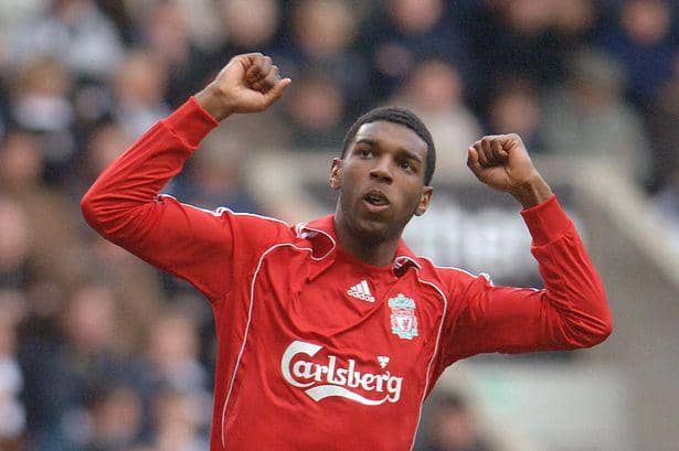 Ryan Babel (liverpoolecho.co.uk)