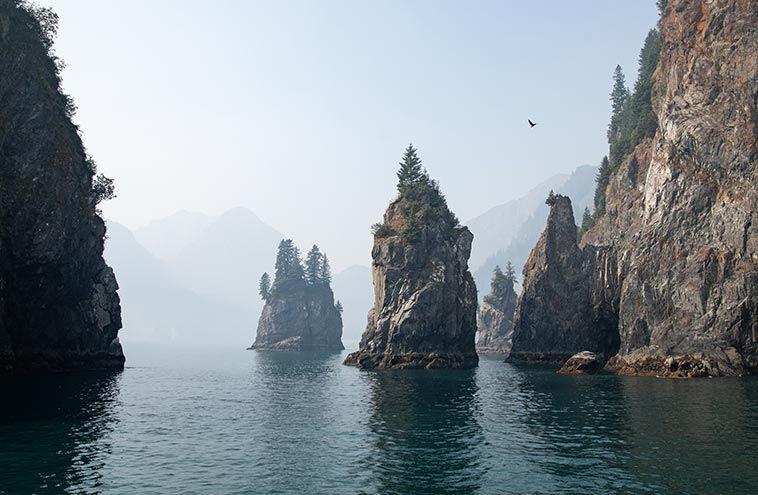 pulau rubah Alaska (alaskacollection.com)
